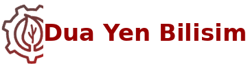 Dua Yen Bilisim – Technology Is The Key To Success
